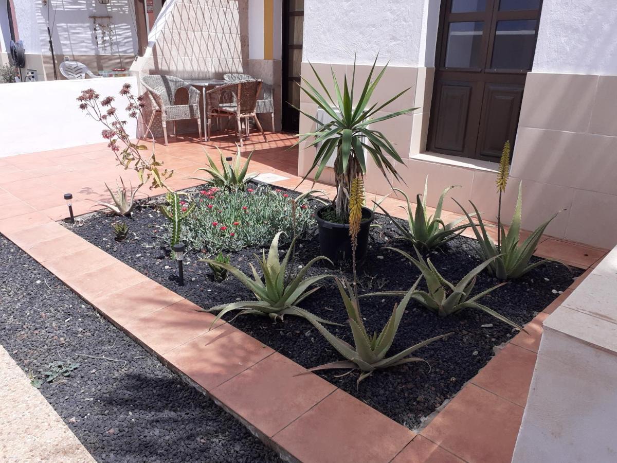 Beautiful Coastline Bungalow Near The Ocean 50 M Apartman Costa De Antigua Kültér fotó